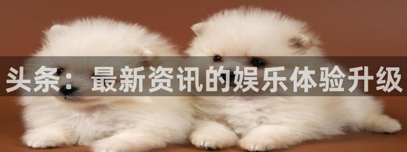 赢咖娱乐网址注册：头条：最新资讯的娱乐体验升级