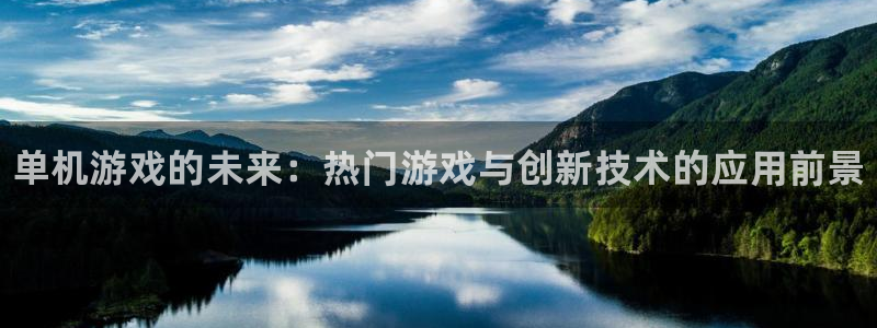 赢咖娱乐平台官网登录：单机游戏的未来：热门游戏与创新技术的应