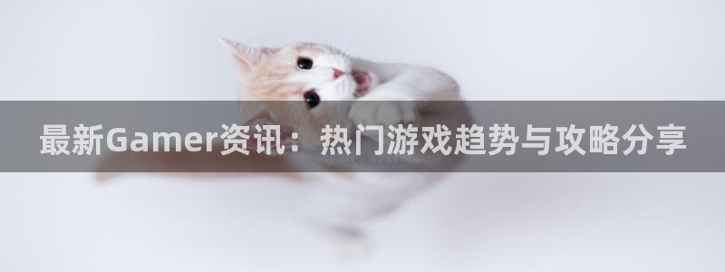 赢咖娱乐测速：最新Gamer资讯：热门游戏趋势与攻略分享