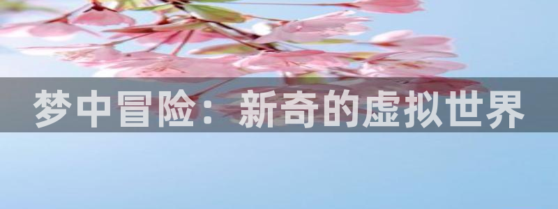 赢咖娱乐4主管：梦中冒险：新奇的虚拟世界