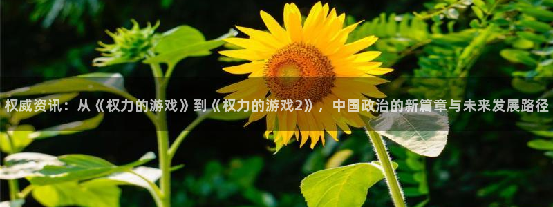 赢咖娱乐注册平台：权威资讯：从《权力的游戏》到《权力的游戏2