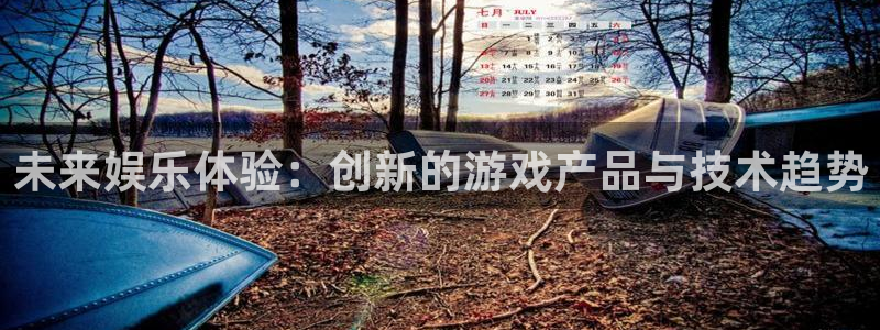 赢咖娱乐注册服务条款：未来娱乐体验：创新的游戏产品与技术趋势