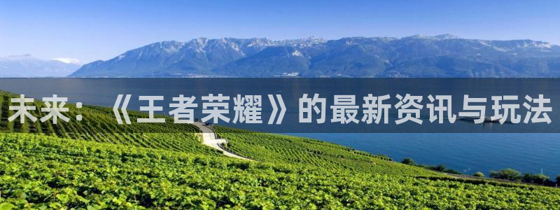 赢咖娱乐官方登录网址：未来：《王者荣耀》的最新资讯与玩法
