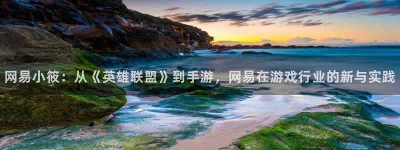 赢咖娱乐平台注册开户：网易小筱：从《英雄联盟》到手游，网易在