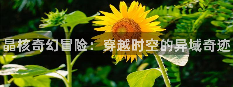 赢咖娱乐4主管：晶核奇幻冒险：穿越时空的异域奇迹