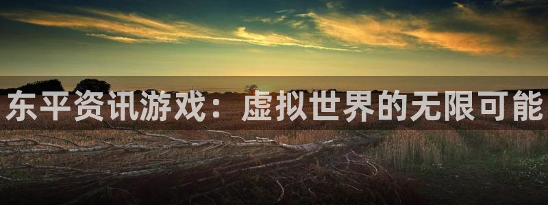 赢咖娱乐平台注册资金多少：东平资讯游戏：虚拟世界的无限可能