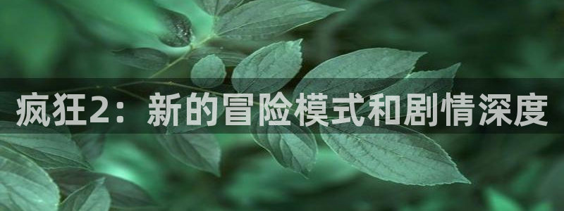沐春赢咖娱乐：疯狂2：新的冒险模式和剧情深度